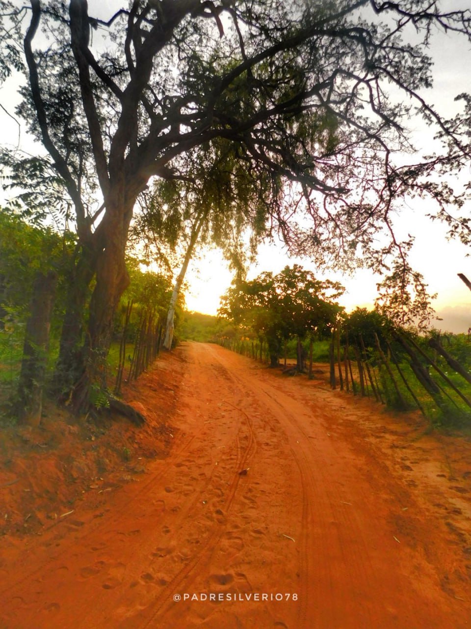 Camino rural
